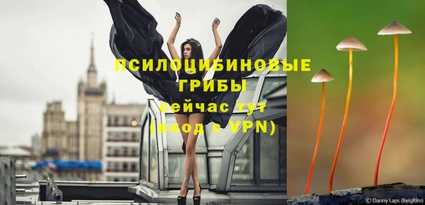 мет Бородино