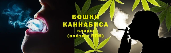 молекула духа Бугульма