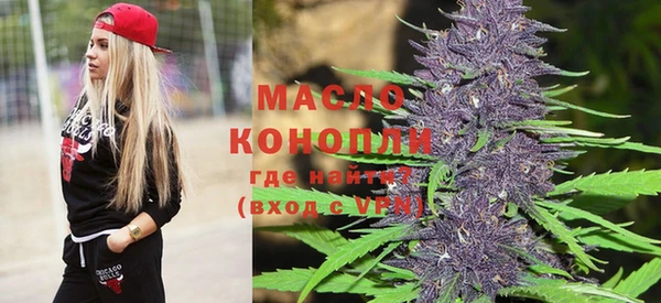 ECSTASY Богданович