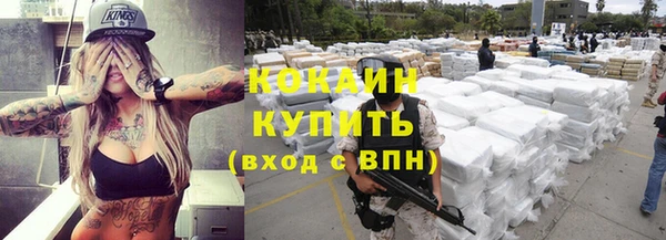 ECSTASY Богданович