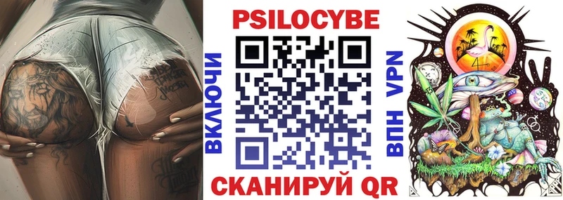 Галлюциногенные грибы Psilocybe  mega ТОР  Десногорск 